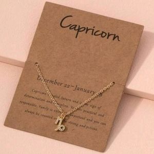 Capricorn ♑ Charm Necklace